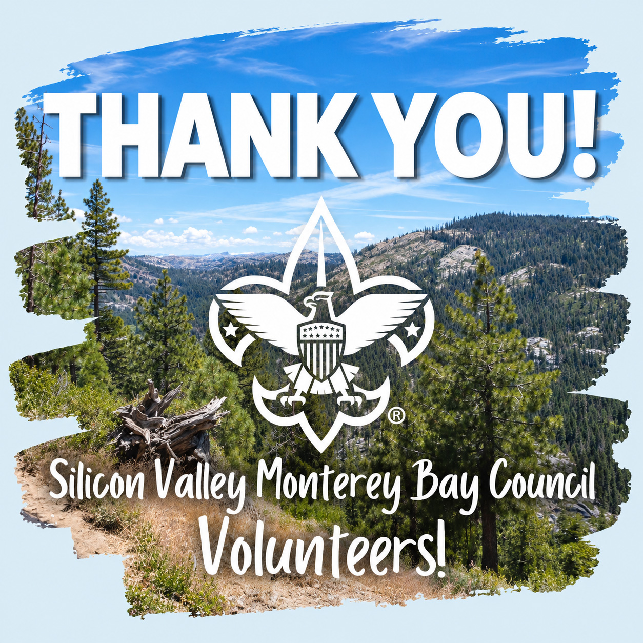 Council volunteer appreciation advertisement