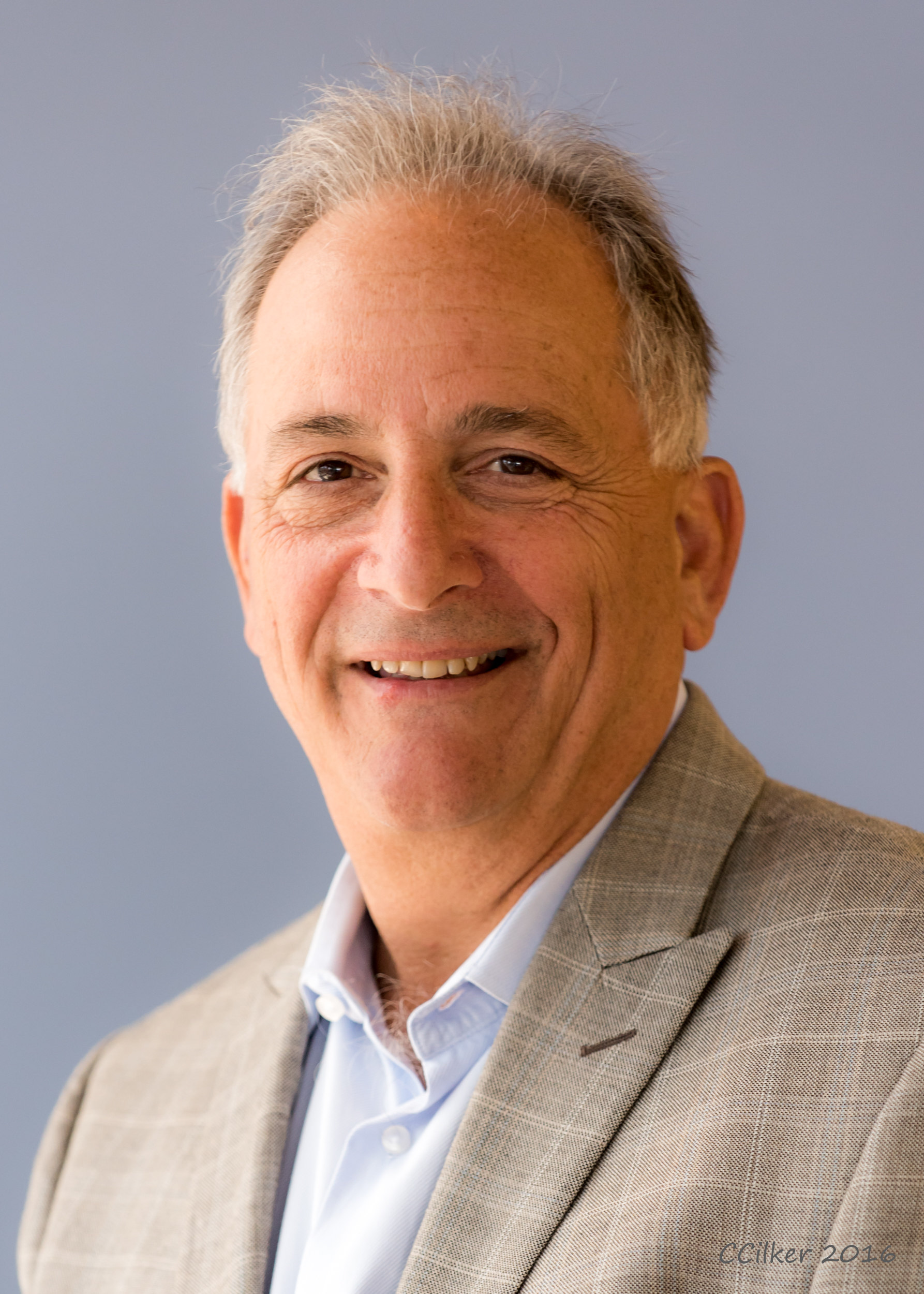 Mark D. Lazzarini